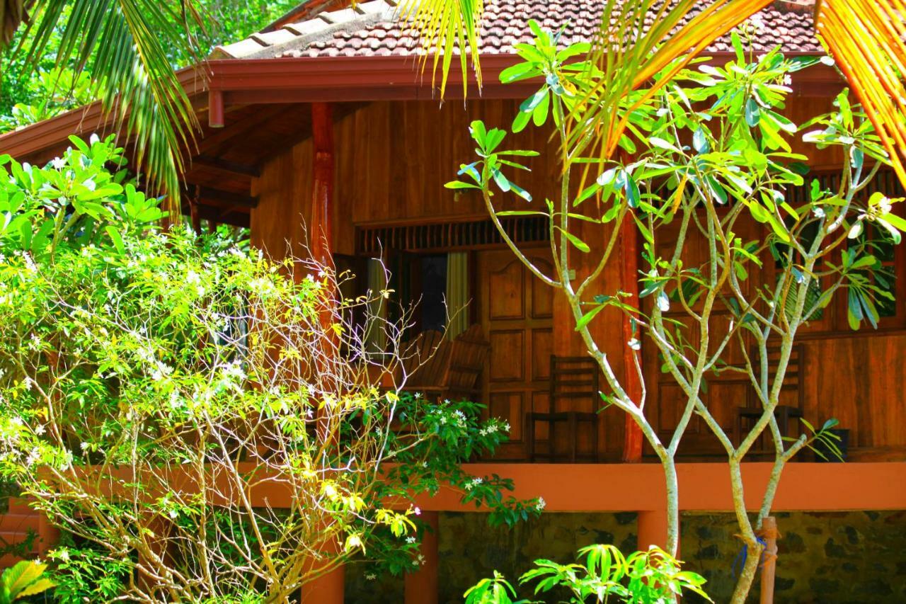 Green Garden Cabanas Tangalle Exteriér fotografie