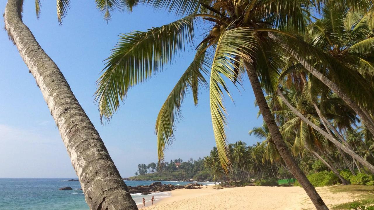 Green Garden Cabanas Tangalle Exteriér fotografie