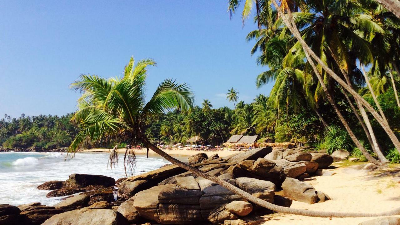 Green Garden Cabanas Tangalle Exteriér fotografie